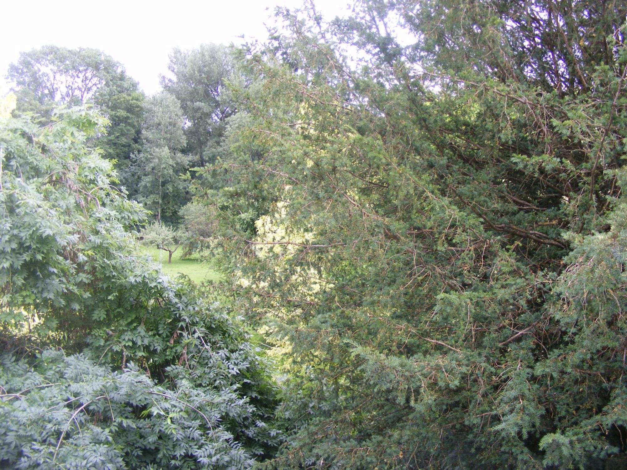 Les Lilas Des Deux Ponts Deux Rivieres Exterior photo